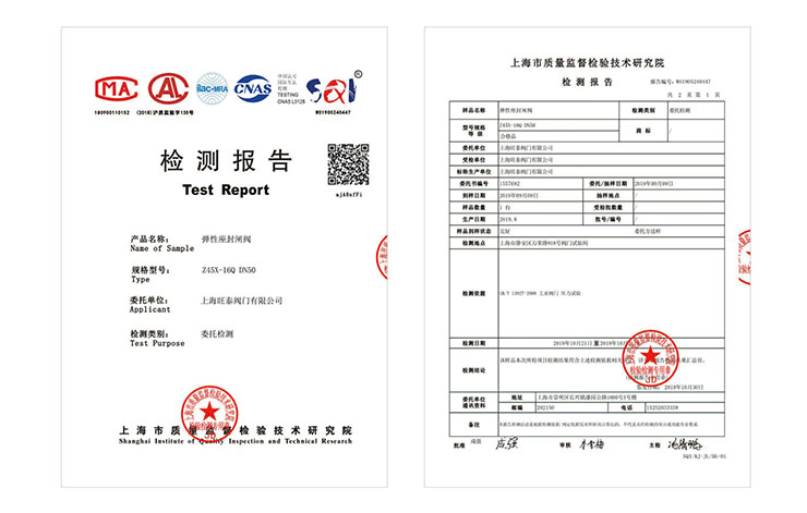 弹性座封闸阀检测报告